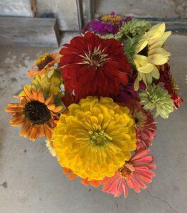 K-H-Farm-Flowers-Large-Bouquet-for-Rhonda-August-18-2023